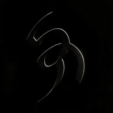 VĪS REINTERPRETATIONS