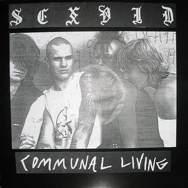Communal Living by Sex Vid - album cover