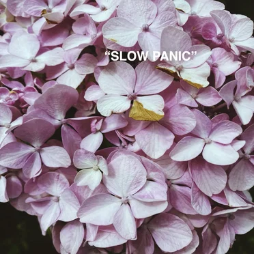 "SLOW PANIC"