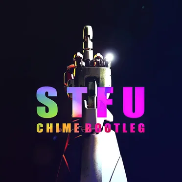 STFU (Chime Bootleg)