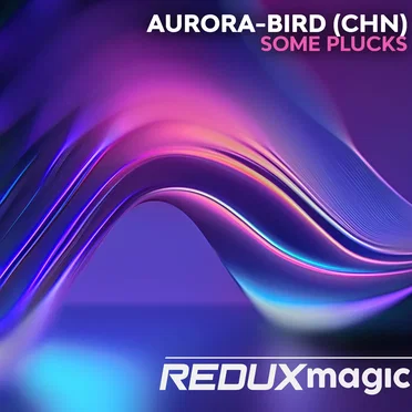 Some Plucks by Aurora-bird(CHN) - album cover