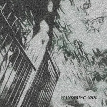Wandering Soul