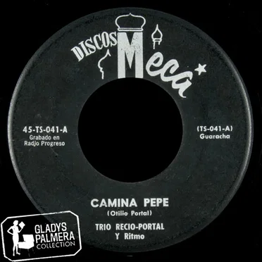 Camina Pepe / A tomar ciruelón by Trío Recio-Portal y Ritmo - album cover