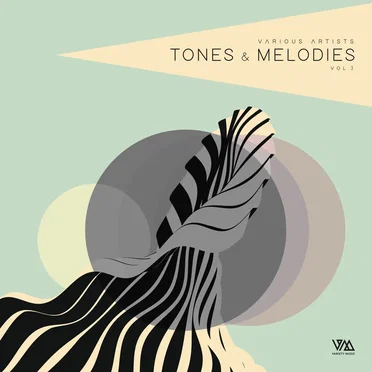 Tones & Melodies Vol. 3 by Various Artists - album cover