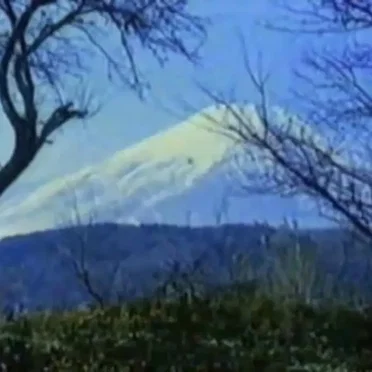 日光