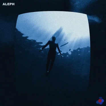 Schadenfreude by ALEPH - album cover