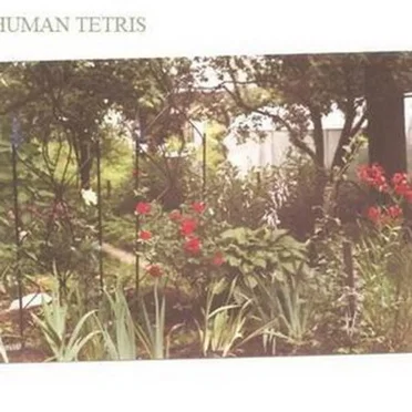 Things I Don't Need by Human Tetris - album cover