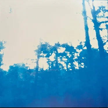 Delicate Days by The Alloy Six - album cover