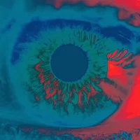 Chromatics artist image