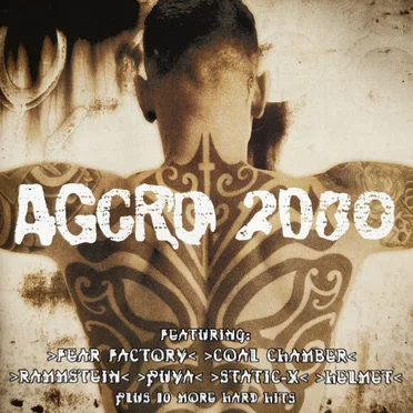Aggro 2000 by Various Artists - album cover