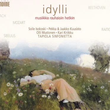 Idylli: Musiikkia rauhallisiin hetkiin