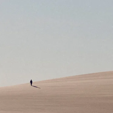 Shadow of the Colossus