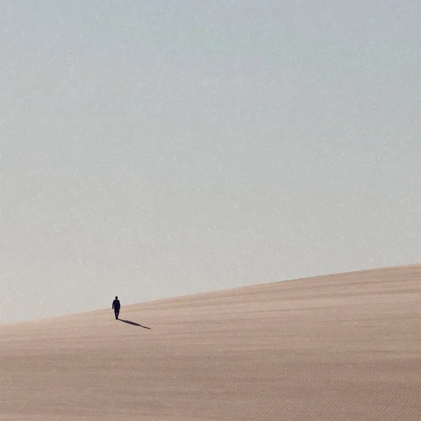 Shadow of the Colossus