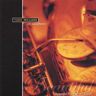 Beautiful Things From Above by Todd Williams - album cover