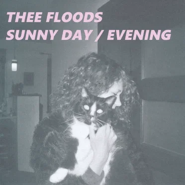 Sunny Day / Evening