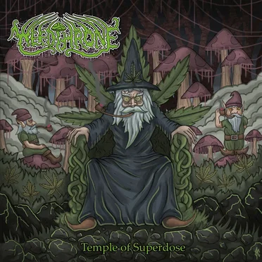 Temple of Superdose by Weedthrone - album cover