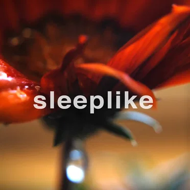 sleeplike by yttriphie - album cover