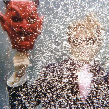 Ty Segall