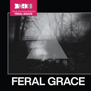 Feral Grace by The Black Dog - album cover