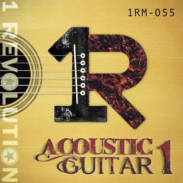 Acoustic Guitar