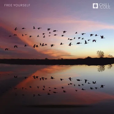Free Yourself by Chill Cole - album cover