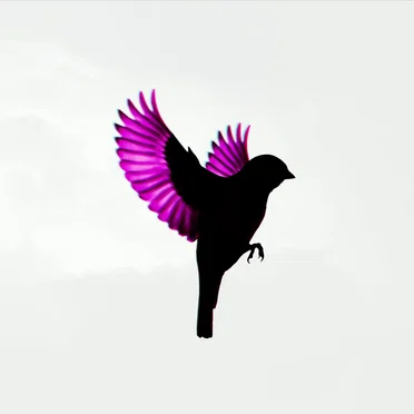 Sparrow by Jump, Little Children - album cover