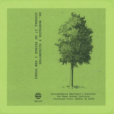 Journal 37 or Things I Saw Today by Dr. Montague P Hickswythe - album cover