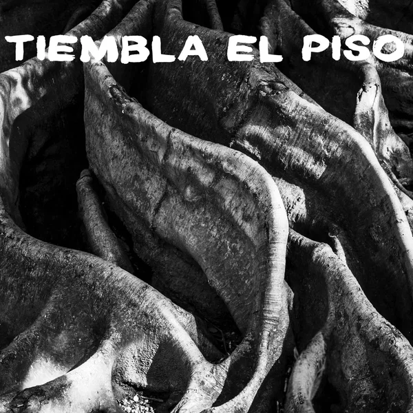 Tiembla el piso