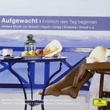 Aufgewacht: Fröhlich den Tag beginnen by Various Artists - album cover