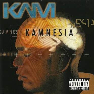 Kamnesia