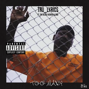 Too Many by Tru_lyrics - album cover