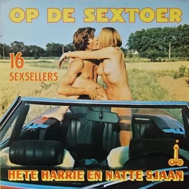 Op de sextoer: 16 sexsellers