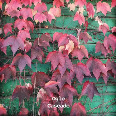 Cascade
