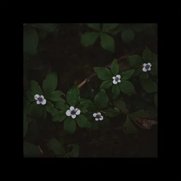 motion! EP