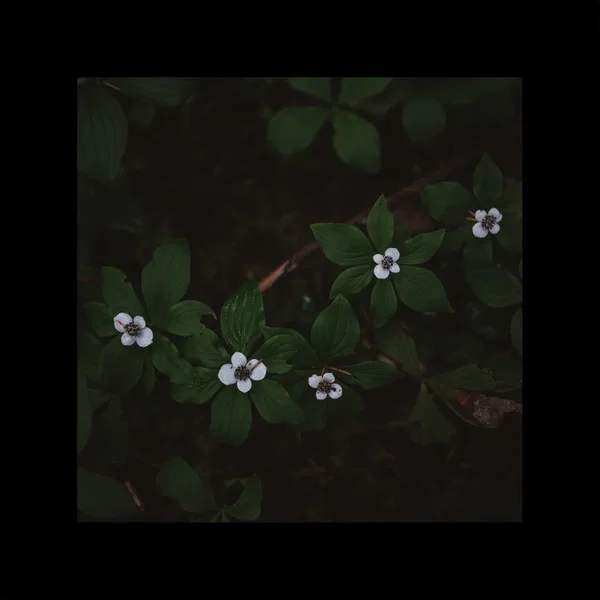 motion! EP