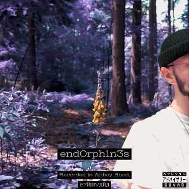 end0rph1n3s by enzin - album cover