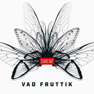 Szabad.Vagy