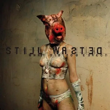What Did You Expect by Still Wasted - album cover