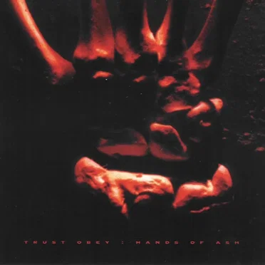 Hands of Ash by Trust Obey - album cover