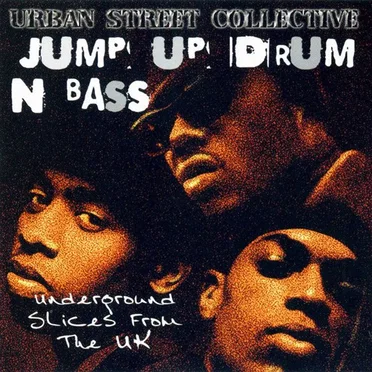 Jump Up Drum & Bass: The Funk Hits the Fan by Various Artists - album cover