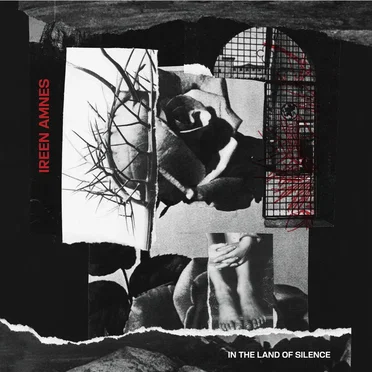 In the Land of Silence by Ireen Amnes - album cover