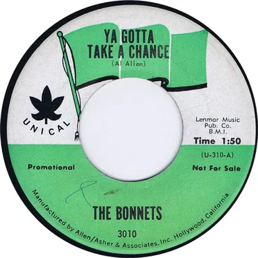 Ya Gotta Take A Chance by The Bonnets - album cover