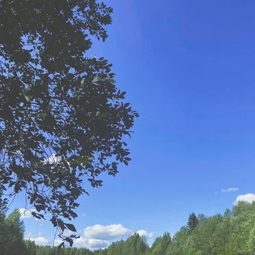 temporal love of blue skies