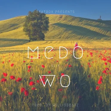Medo Wo by Nate - album cover