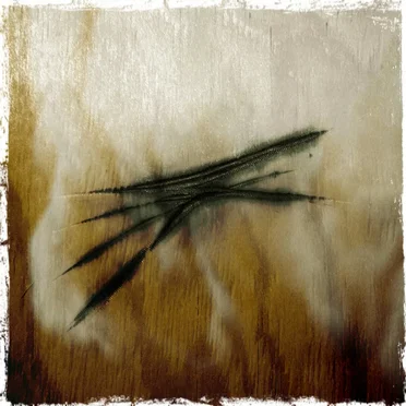 Panic Among Whales by kam:as - album cover