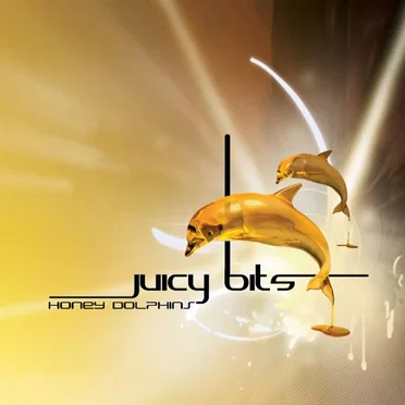 Honey Dolphins by Juicy Bits - album cover