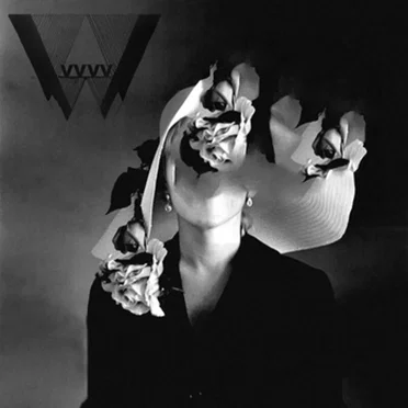 The Beast by VvvV - album cover