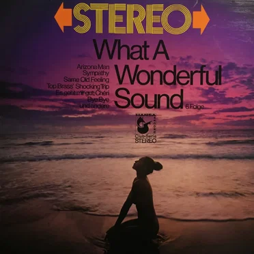 What a Wonderful Sound 6. Folge by Various Artists - album cover