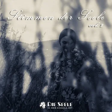 Stimmen der Seele Vol.2 by Various Artists - album cover