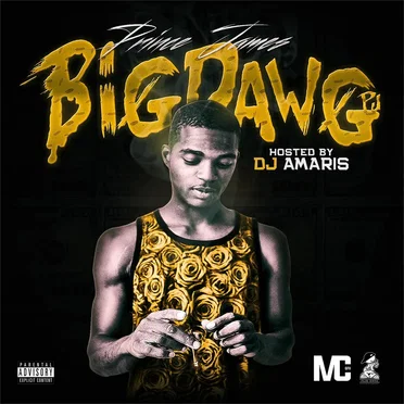 I Got It (From BigDawgPjMixtape)